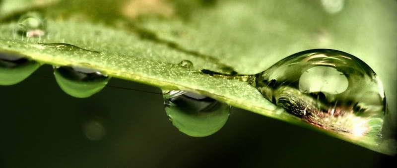 gouttes de pluie-02.jpg